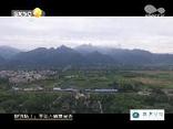 交通瞭望 (2025-08-04)